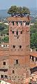 Clicca l'immagine per ingrandirla. 

Nome: 320px-Torre_Guinigi_from_Torre_Torre_dell'Orologio.jpg 
Visualizzazioni: 16 
Dimensione: 102,2 KB 
ID: 21785