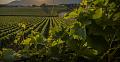 Clicca l'immagine per ingrandirla. 

Nome: franciacorta-autumn.jpg 
Visualizzazioni: 58 
Dimensione: 86,2 KB 
ID: 24184