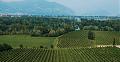 Clicca l'immagine per ingrandirla. 

Nome: franciacorta-view.jpg 
Visualizzazioni: 61 
Dimensione: 99,4 KB 
ID: 24185