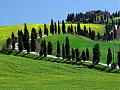 Clicca l'immagine per ingrandirla. 

Nome: colline-pisane.jpg 
Visualizzazioni: 51 
Dimensione: 171,7 KB 
ID: 24736