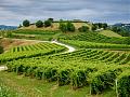 Clicca l'immagine per ingrandirla. 

Nome: Strada-del-Prosecco-5m.jpg 
Visualizzazioni: 61 
Dimensione: 196,3 KB 
ID: 25356
