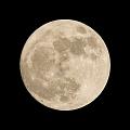 Clicca l'immagine per ingrandirla. 

Nome: universo-luna-2.jpg 
Visualizzazioni: 81 
Dimensione: 46,6 KB 
ID: 31016