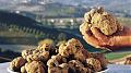 Clicca l'immagine per ingrandirla. 

Nome: tartufo-bianco.jpg 
Visualizzazioni: 10 
Dimensione: 60,5 KB 
ID: 8967
