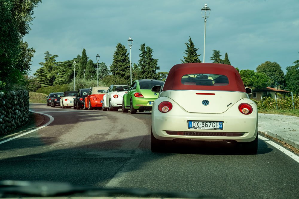 DSC_4716.jpg