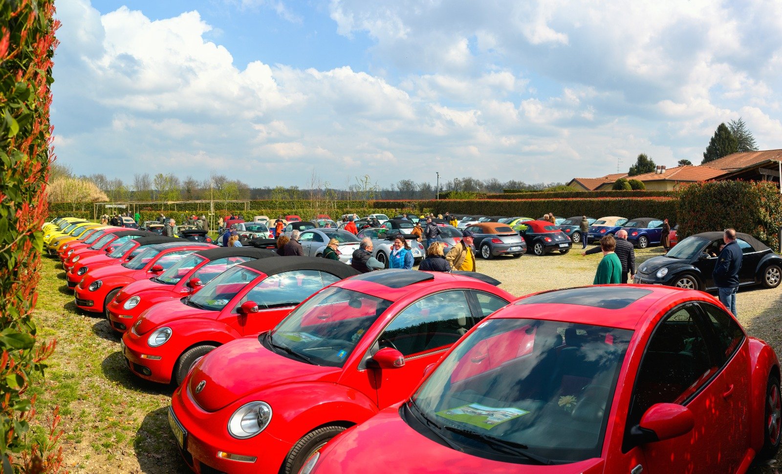 WhatsApp Image 2026-03-23 at 18.51.51.jpeg