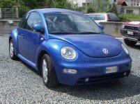 new beetle.jpg