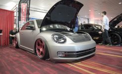 rotiform-beetle-photo-483921-s-787x481.jpg