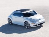 new_beetle_ragster-0222.jpg