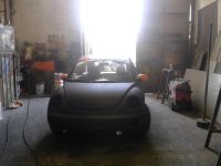 New Beetle (2).jpg