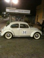 Herbie (3).jpg