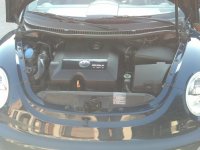 566798_10201283622270040_881625728_o (1).jpg