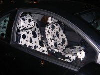 interni muccati di notturno.JPG