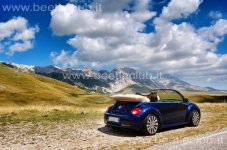 1017011_10200662241933995_1394919898_n (1) (1) (1).jpg