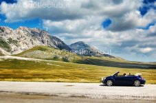 1004701_10200662259174426_1841875918_n (1) (1) (1).jpg