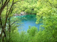 lago cornino 640x480.jpg