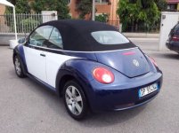 newbeetle.jpg