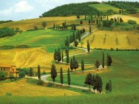 colline-toscane-1.jpg