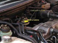 ValvolaEGR2.jpg