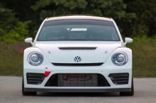 grc_beetle_4097.jpg