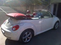 blak berry foto0 007.jpg