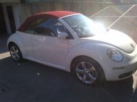 blak berry foto0 002.jpg