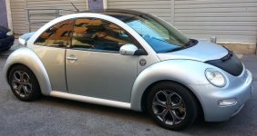 New Beetle final1.jpg