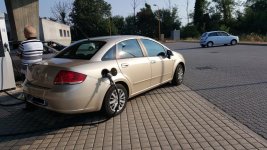 Fiat Linea.jpg