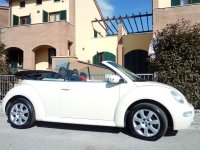 new beetle cabrio.jpg
