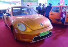 vedeoev-beetle-china-lsev-6.jpg