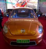 vedeoev-beetle-china-lsev-5-660x687.jpg