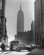 vintage_beetles_in_nyc_4814.jpg