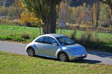 Beetle Autunno 1.jpg