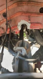 beetle 5c modificato.jpg