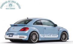 Halt_Rs_Beetle 7.jpg