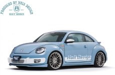 Halt_Rs_Beetle 6.jpg