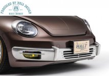 Halt_Rs_Beetle 5.jpg