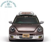 Halt_Rs_Beetle 3.jpg