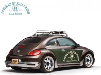 Halt_Rs_Beetle 2.jpg