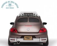 Halt_Rs_Beetle 1.jpg