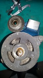 Pignone estratto-1.jpg