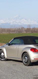 raduvirtu mauro64.jpg