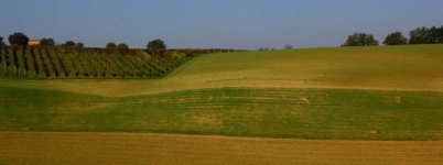 castelvetrocolline4.jpg castelvetrocolline4.jpg