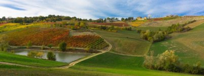 castelvetrocolline6.jpg castelvetrocolline6.jpg