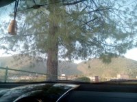 WhatsApp Image 2020-04-15 at 19.29.34.jpg