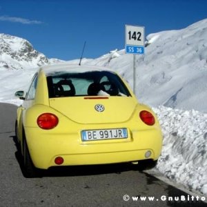 Le Foto dei Membri!