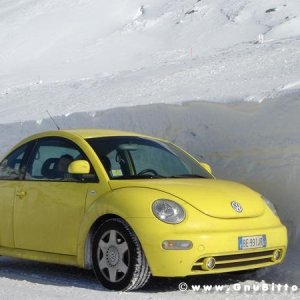 Le Foto dei Membri!