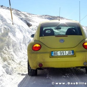 Le Foto dei Membri!