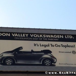 Le vacanze dei Gnubitters!