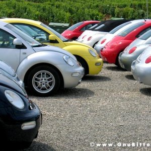 09-07-2006 - Piacenza 2006 un anno dopo...