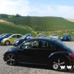 09-07-2006 - Piacenza 2006 un anno dopo...